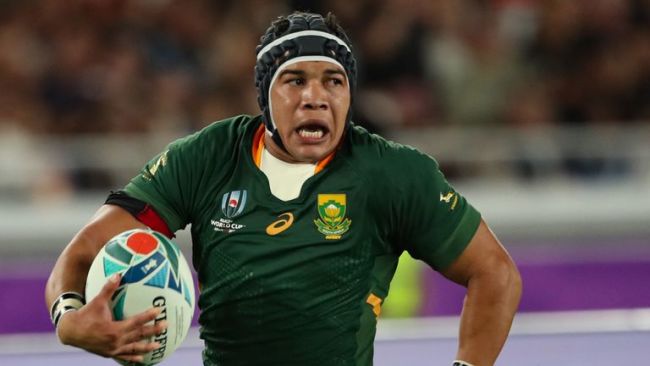 Cheslin Kolbe Rugby World Cup 2019