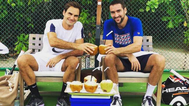 Federer and Cilic