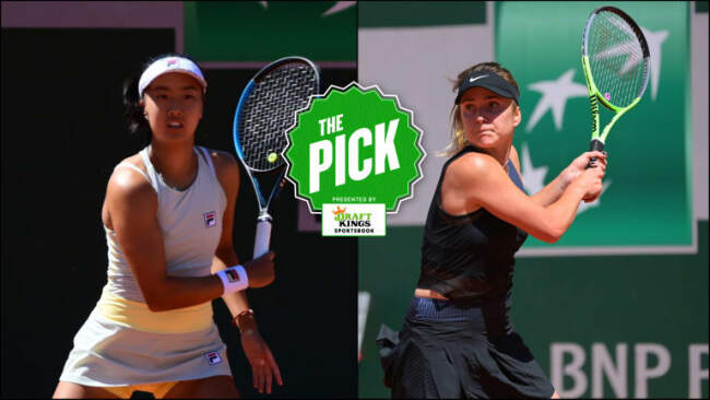 Elina Svitolina vs Ann Li