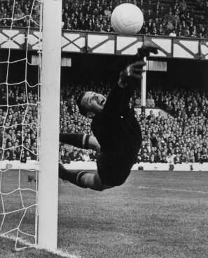 Lev Yashin - Best Football player of all time.